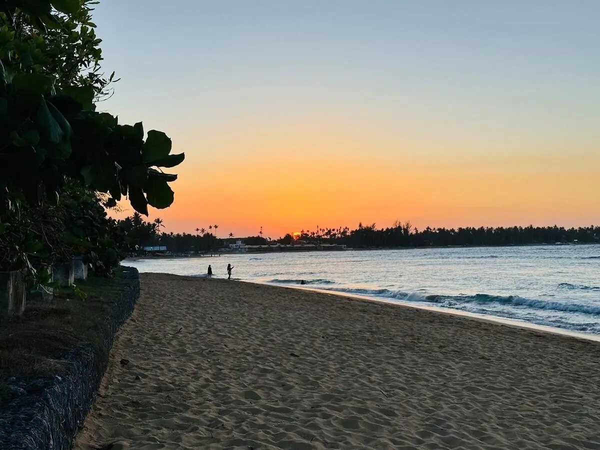 La Dolce Vita 7 Emocionante Y Cautivador Las Terrenas Dominican Republic